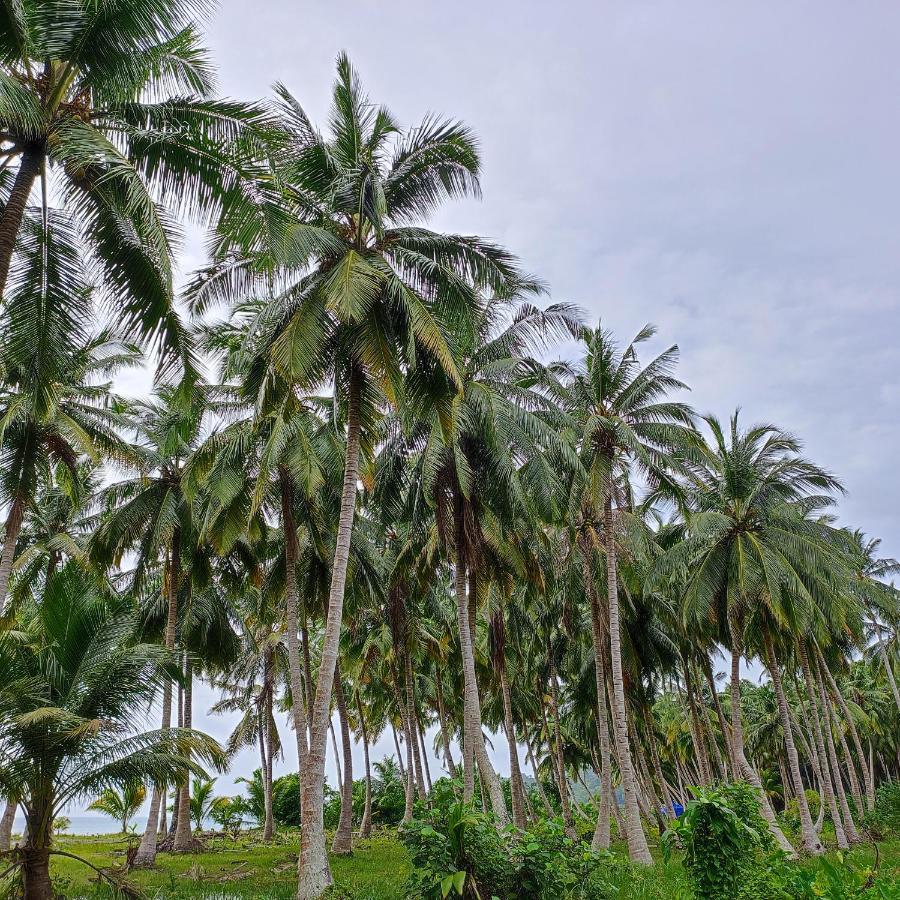 Honey Moon Beach Resort ANDAMAN AND NICOBAR ISLANDS Dış mekan fotoğraf